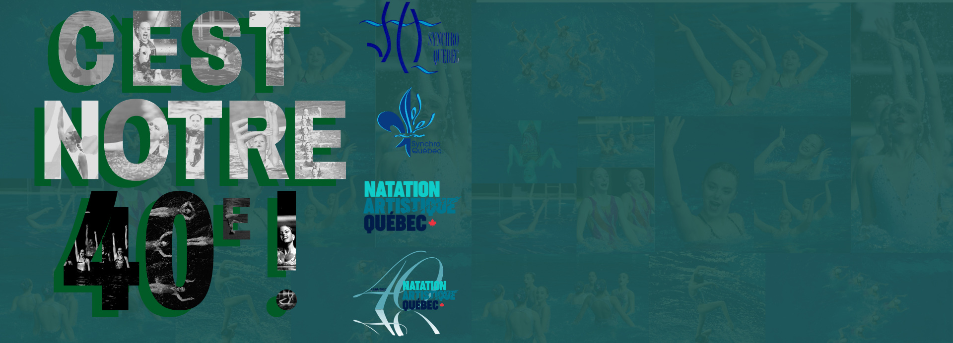 Candidatures : Gala NAQ